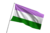 Bandeiras da comunidade LGBT+ na internet