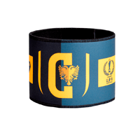 Categoria 10