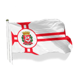 Categoria 25