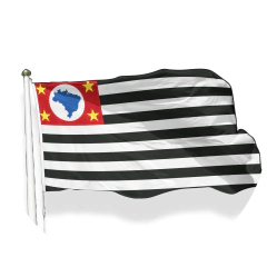 Categoria 24
