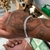 Pulseira Grumet Elo Duplo 6mm - Prata 925 - comprar online
