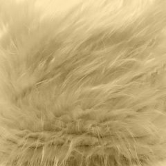 PIEL PELO LARGO BEIGE
