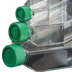 FRASCOS DE CULTURA CELULAR, TAMPAS VENTILADAS, MATERIAL POLIESTIRENO CRISTAL GRADUADO, ÁREA DE CRESCIMENTO DE 175 CM2, SUPERFÍCIE TRATADA, PACOTE COM 5 UNIDADES