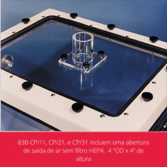CÂMARA (GLOVE BOX) RETENÇÃO (CONFINAMENTO) COM PORTA DE ACESSO LATERAL E SAÍDA SUPERIOR PARA RESPIRO 890 X 740 X 760MM - comprar online