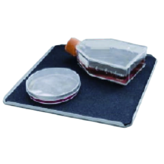 PLATAFORMA PARA AGITAÇÃO DE PLACAS DE PETRI E GARRAFAS DE CULTURA PARA USO COM AS MESAS AGITADORAS MODELOS BIOGS10, BIOGS20-IC E BIOGS30 E INCUBADORAS COM AGITAÇÃO BIOES60-IC E BIOES60C-IC - CÓDIGO PP-4-IC