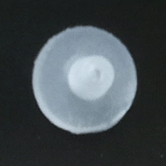ANEL DE TEFLON PARA VEDAÇÃO DE MICROPIPETAS HTL SÉRIES: DISCOVERY, DISCOVERY COMFORT, LABMATE, LABMATE SOFT, OPTIPETTE. - Biosystems Importadora Ltda