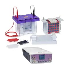 MINISSISTEMA COMPLETO PARA ELETROFORESE E ELETROBLOTTING (WESTERN BLOTTING) PARA TRANSFERÊNCIA DE GEL VERTICAL (GEL SLAB) 10 X 10 CM (8 X 8.5 CM) COM CAPACIDADE PARA 4 GÉIS POR CORRIDA, SEM SERPENTINA DE RESFRIAMENTO, COM FONTE DE ELETROFORESE - MODELO CVS10CBS-PP300