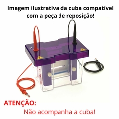 ESPAÇADORES FIXOS, 10CM DE COMPRIMENTO COM ESPESSURAS DE 0.5, 0.75, 1.0, 1.5 E 2.0MM, PARA CUBAS VERTICAIS 10X10CM MODELOS CVS10DSYS, CVS10D, CVS10PRE E CVS10DSYS-CU MARCA CLEAVER SCIENTIFIC (PCT COM 2)