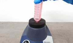 AGITADOR VORTEX PARA MICROTUBOS, MACROTUBOS E FRASCOS, 0 A 3000RPM, OPERAÇÃO CONTÍNUA E POR TOQUE, BIVOLT na internet