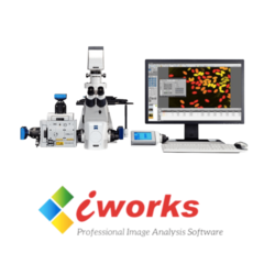 SOFTWARE "I-WORKS" PARA USO COM MICROSCÓPIOS NA ÁREA DE BIOLOGIA, CALIBRAÇÕES, CONTAGENS AUTOMÁTICAS E TRABALHOS EM MICROSCOPIA EM GERAL, COM ATÉ 27 FERRAMENTAS DIFERENTES DE TRABALHO - MODELO: VERSÃO FX. - comprar online