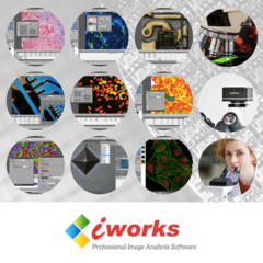 SOFTWARE "I-WORKS" PARA USO COM MICROSCÓPIOS NA ÁREA DE BIOLOGIA, CALIBRAÇÕES, CONTAGENS AUTOMÁTICAS E TRABALHOS EM MICROSCOPIA EM GERAL, COM ATÉ 27 FERRAMENTAS DIFERENTES DE TRABALHO - MODELO: VERSÃO FX. na internet