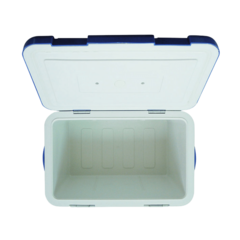 CAIXA TÉRMICA PARA TRANSPORTE DE AMOSTRAS BIOLÓGICAS, CAPACIDADE 20L, TEMPERATURA ENTRE 2°C - 8°C, COM TERMÔMETRO DIGITAL, TAMPA COM TRAVA, ACOMPANHA 8 RECIPIENTES PARA CONGELAMENTO DE LÍQUIDO - MODELO: LCX-20L-IC - comprar online
