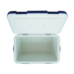 CAIXA TÉRMICA PARA TRANSPORTE DE AMOSTRAS BIOLÓGICAS, CAPACIDADE 20L, TEMPERATURA ENTRE 2°C - 8°C, COM TERMÔMETRO DIGITAL, TAMPA COM TRAVA, ACOMPANHA 8 RECIPIENTES PARA CONGELAMENTO DE LÍQUIDO - MODELO: LCX-20L-IC - comprar online