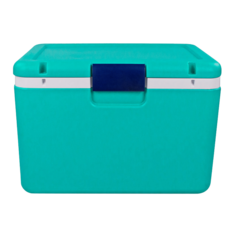 CAIXA TÉRMICA PARA TRANSPORTE DE AMOSTRAS BIOLÓGICAS, CAPACIDADE 54 L, TEMPERATURA ENTRE 2°C - 8°C, COM TERMÔMETRO DIGITAL, TAMPA COM TRAVA, ACOMPANHA 4 RECIPIENTES PARA CONGELAMENTO DE LÍQUIDO. MODELO: LCX-54L-IC - Biosystems Importadora Ltda