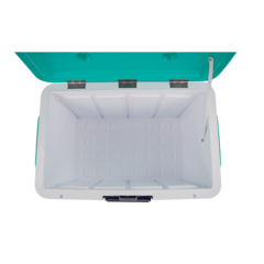 CAIXA TÉRMICA PARA TRANSPORTE DE AMOSTRAS BIOLÓGICAS, CAPACIDADE 54 L, TEMPERATURA ENTRE 2°C - 8°C, COM TERMÔMETRO DIGITAL, TAMPA COM TRAVA, ACOMPANHA 4 RECIPIENTES PARA CONGELAMENTO DE LÍQUIDO. MODELO: LCX-54L-IC na internet