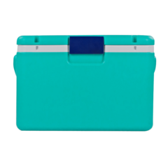 CAIXA TÉRMICA PARA TRANSPORTE DE AMOSTRAS BIOLÓGICAS, CAPACIDADE 54 L, TEMPERATURA ENTRE 2°C - 8°C, COM TERMÔMETRO DIGITAL, TAMPA COM TRAVA, ACOMPANHA 4 RECIPIENTES PARA CONGELAMENTO DE LÍQUIDO. MODELO: LCX-54L-IC - Biosystems Importadora Ltda
