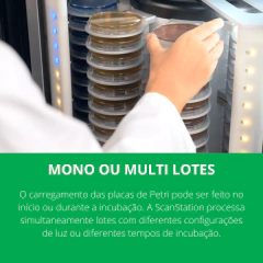 INCUBADORA E CONTADORA DE COLÔNIAS EM TEMPO REAL, CAPACIDADE PARA 300 PLACAS DE PETRI, INCUBAÇÃO DE 20°C A 45°C, ACEITA PLACAS DE PETRI DE 55 A 65 MM E 90MM DE DIÂMETRO, EQUIPADA COM COMPUTADOR, MONITOR, CÂMERA ULTRA HD, LENTES TELECÊNTRICAS, CONTROLE ATRAVÉS DE TELA TOUCHSCREEN – MODELO SCANSTATION 300 - comprar online