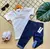 Conjunto Calça Boss/Lacoste - loja online