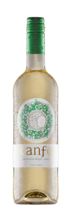 BODEGAS CAMPOS REALES - CANFO SAUVIGNON BLANC-AIRÉN - SAFRA 2020