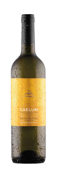 BODEGA CAELUM - BLEND BRANCO RESERVA - SAFRA 2021