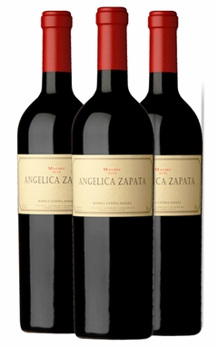 KIT 3 ANGELICA ZAPATA ALTA -MALBEC - comprar online