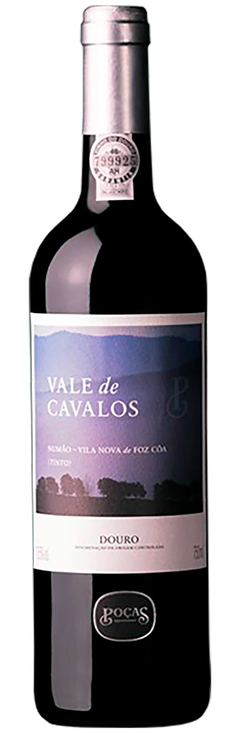 Poças Vale de Cavalos