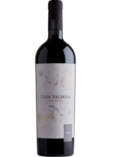 Vinho Tinto Casa Valduga Terroir Exclusivo Tannat 750ml