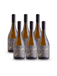 Kit Terroir Chardonnay 6 Garrafas 750ml cada