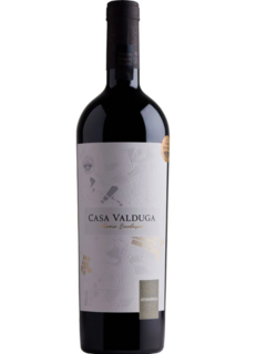 Vinho Tinto Casa Valduga Terroir Exclusivo Arinarnoa 750ml