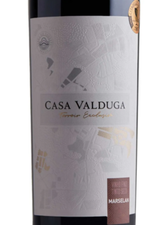 Vinho Tinto Casa Valduga Terroir Exclusivo Marselan 750ml - comprar online