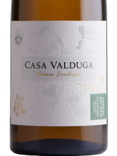 Vinho Fino Branco Casa Valduga Terroir Exclusivo Riesling Renano 750ml - comprar online
