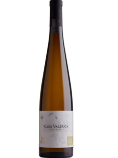 Vinho Branco Seco Casa Valduga Terroir Exclusivo Gewurztraminer 750ml