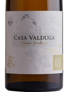 Vinho Branco Seco Casa Valduga Terroir Exclusivo Gewurztraminer 750ml - comprar online