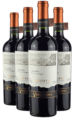 4 Unid. Ventisquero - Caménère -Chile - comprar online