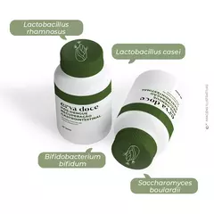 Recuperação Gastrointestinal Pós-Dengue - Fortalecimento da Flora Intestinal na internet