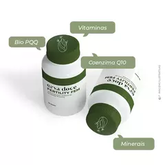 Fertility Fem - Vitaminas para melhora da fertilidade feminina na internet
