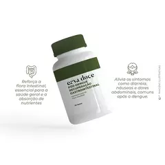 Recuperação Gastrointestinal Pós-Dengue - Fortalecimento da Flora Intestinal - comprar online