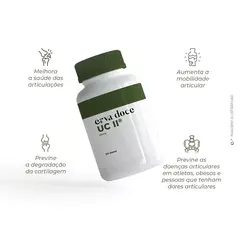 Colágeno UC-II® 40mg na internet