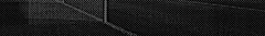 Banner de la categoría 2025
