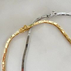 Colar Brics na internet