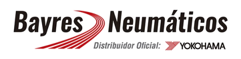 Bayres Neumáticos