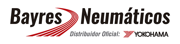 Bayres Neumáticos
