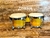 Bongo Parquer 2517085NL