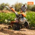 Motocultivador Stihl - MH 710 en internet