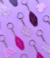 Banner de Letters of joy