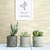 Papel de Parede - Soho - 24280 - comprar online