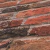 Papel de Parede - Famous Garden - 388141 - loja online