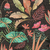 Papel de Parede - Famous Garden - 393481 - comprar online