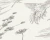 Papel de Parede - Famous Garden - 394292 na internet