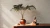 Papel de Parede - Famous Garden - 395071 na internet